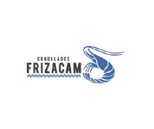 Frizacam-01