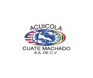 cuatemachado-01